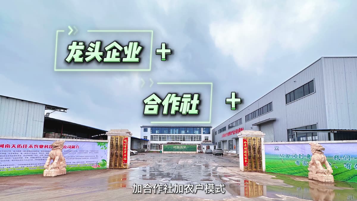 企业介绍视频中的厂区画面